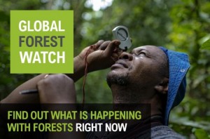 Global Forest Watch Launch