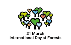 Internationaler Tag der Wälder