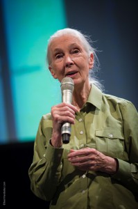 Jane Goodall in Wien