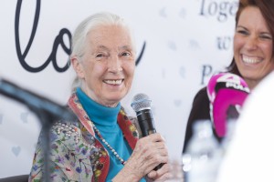 Jane Goodall Wien 2017