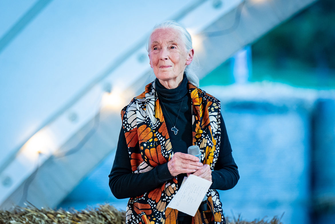 Jane Goodall in Wien