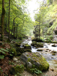 GEO-Tag der Artenvielfalt