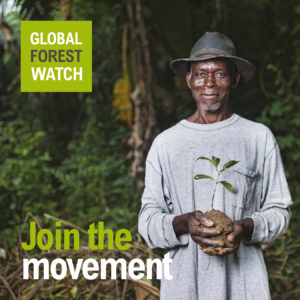 Global Forest Watch Mitmachen