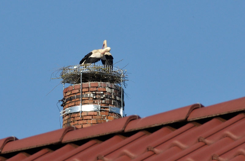Hilfe für Klapperstorch