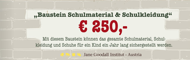 baustein_250