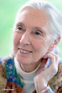 Jane Goodall