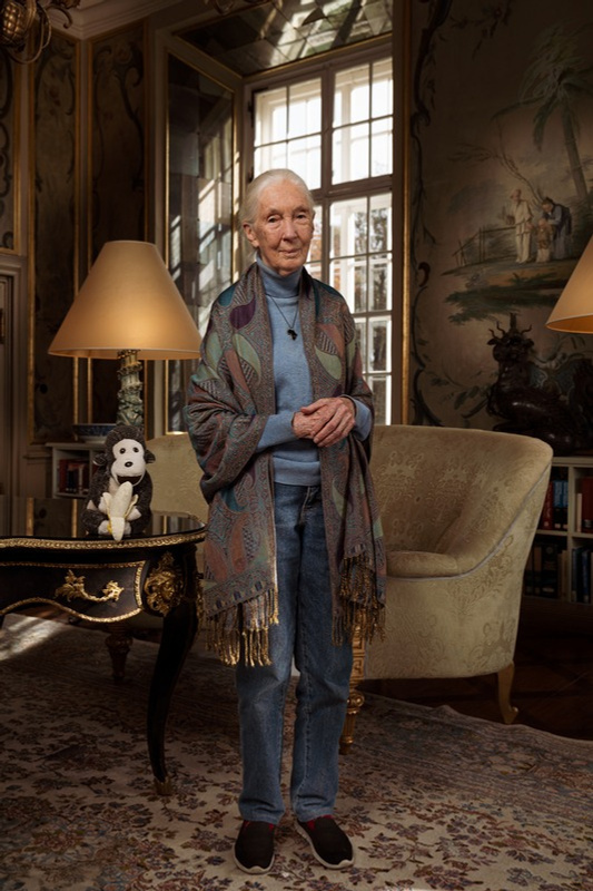 Jane Goodall im Green Salon von Schloss Leopoldskron, Salzburg. Foto: Manfred Baumann.